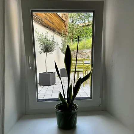 아파트 Dottore Casa *