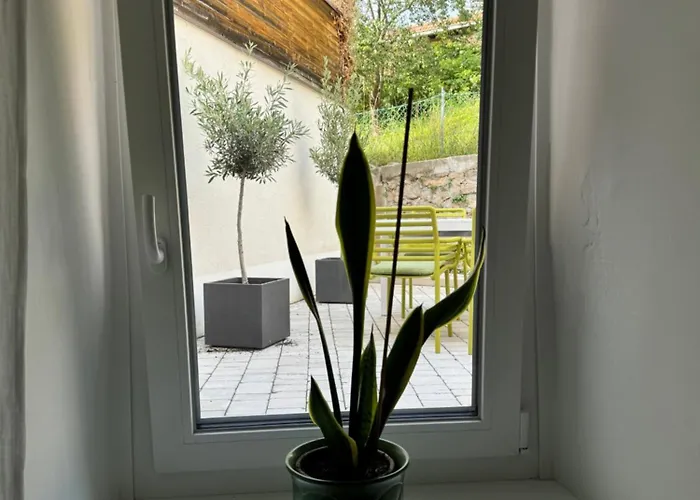 Apartment Dottore Casa *