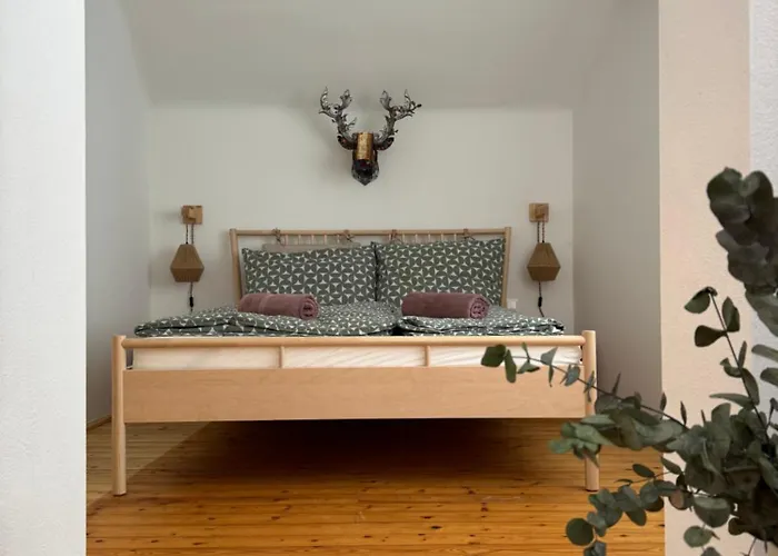 Dottore Casa * Kirchberg am Wechsel